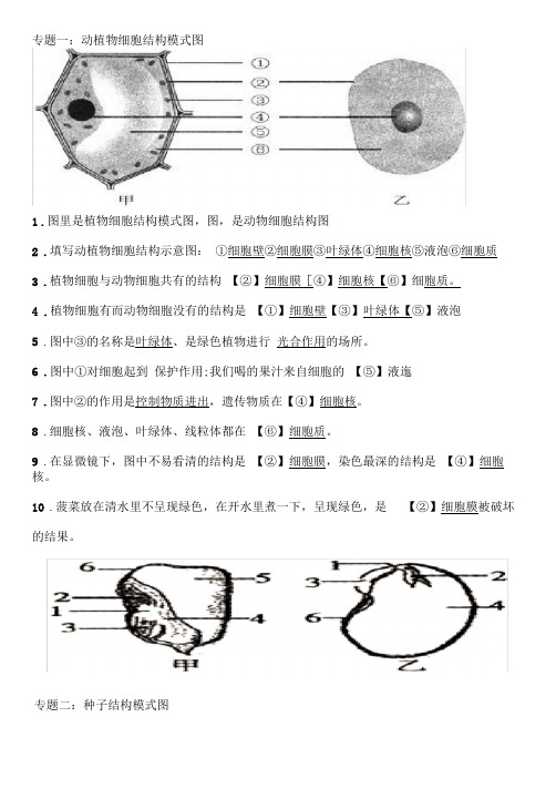 人教版初中生物中考复习：生物专题复习资料——识图作答专项