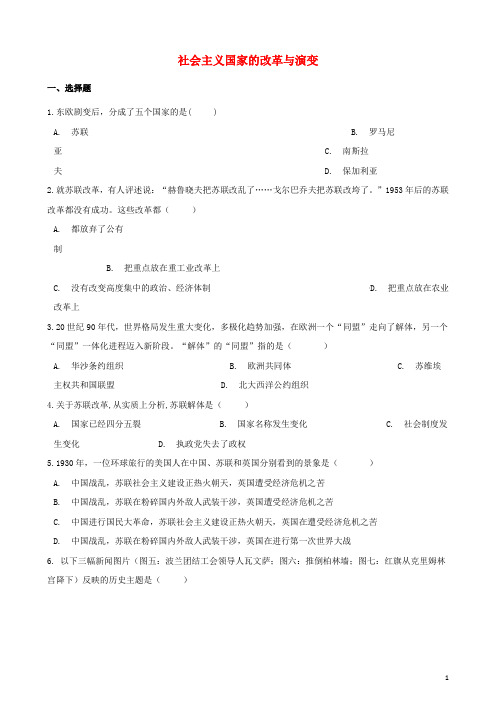 中考历史复习专题训练 社会主义国家的改革与演变(含解析) 新人教版