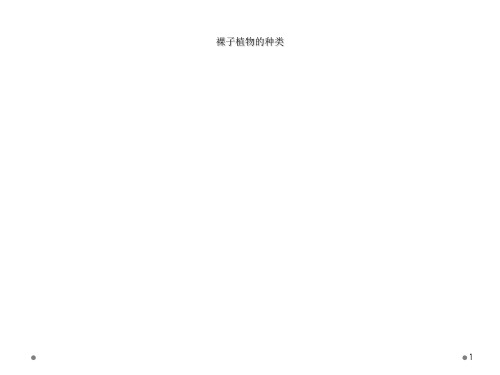 裸子植物的种类
