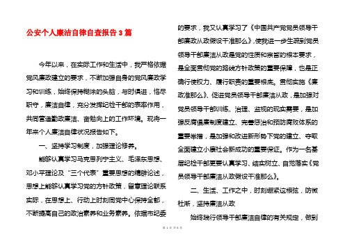 公安个人廉洁自律自查报告3篇