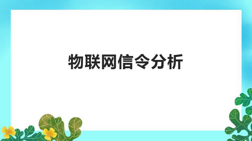 物联网信令分析