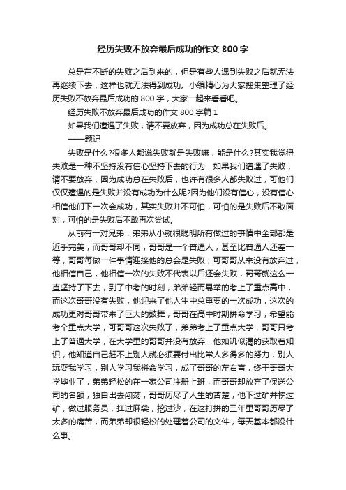 经历失败不放弃最后成功的作文800字