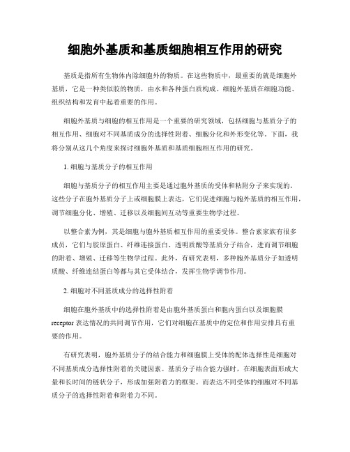 细胞外基质和基质细胞相互作用的研究