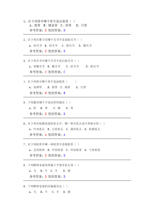 动物医学作业