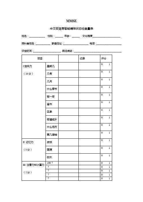 中文版简易智能精神状态检查量表