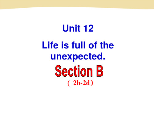 人教版英语九年级全一册 Unit12 SectionB 2b--2d  课件