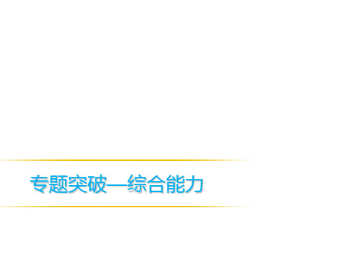 物理中考专题复习专题4 综合能力专题