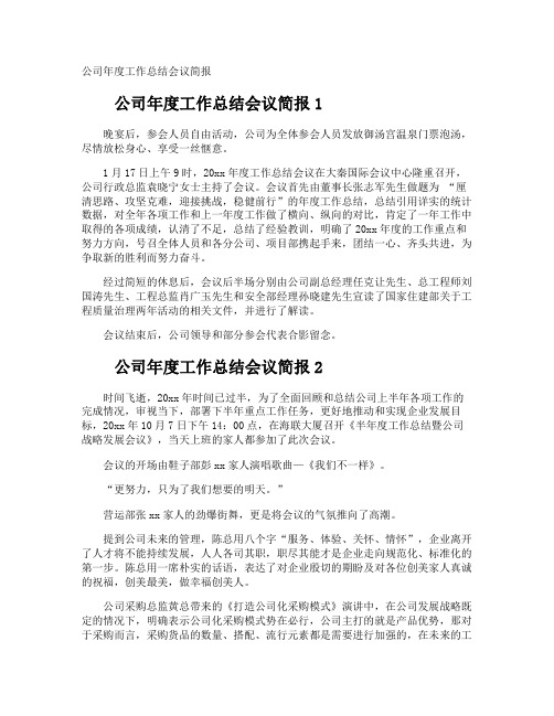 公司年度工作总结会议简报