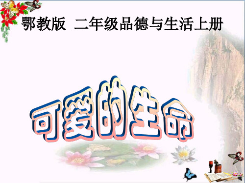 最新二年级道德与法治上册第四单元我们的朋友可爱的生命2鄂教版优选教学课件