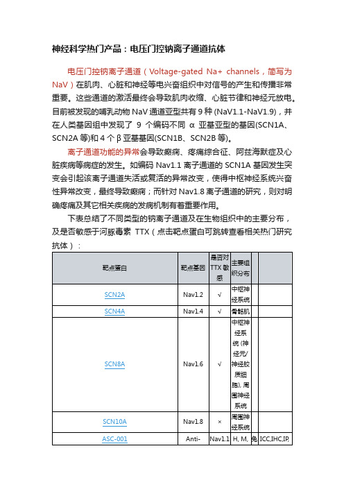 神经科学热门产品：电压门控钠离子通道抗体