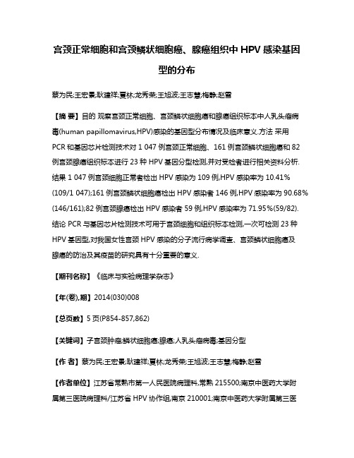 宫颈正常细胞和宫颈鳞状细胞癌、腺癌组织中HPV感染基因型的分布