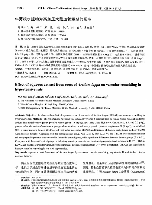 牛蒡根水提物对高血压大鼠血管重塑的影响