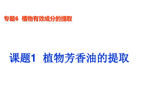 高三二轮复习专题6  植物有效成分的提取