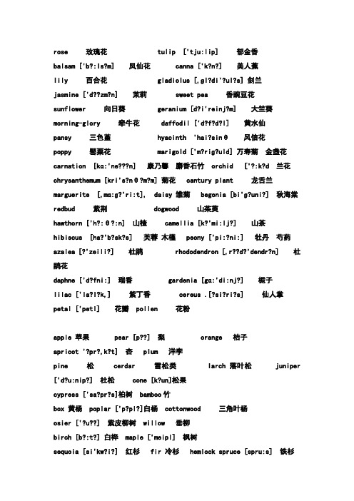 常用花、树的英文单词