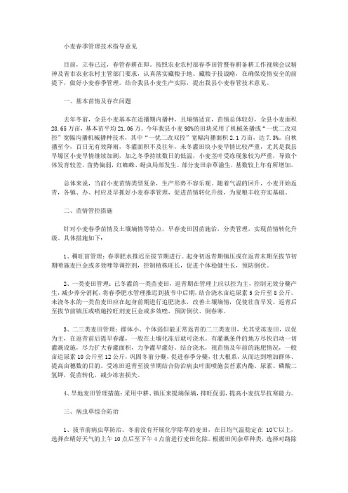 小麦春季管理技术指导意见