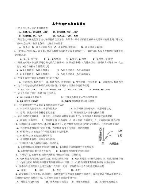 高三生物光合作用和生物固氮练习