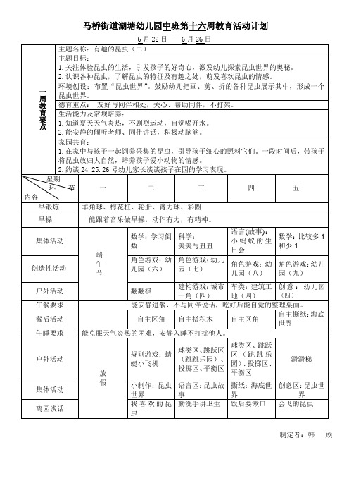 幼儿园中班第十六周教育活动计划