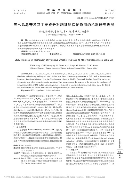 三七总皂苷及其主要成分对脑细胞保护作用的机制研究进展_王钢