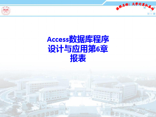 Access数据库程序设计与应用第6章 报表