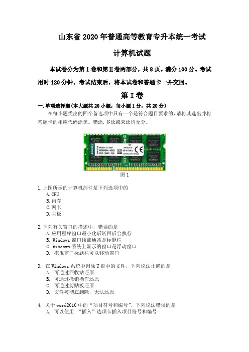 山东省2020年普通高等教育专科升本科招生考试计算机基础真题word版