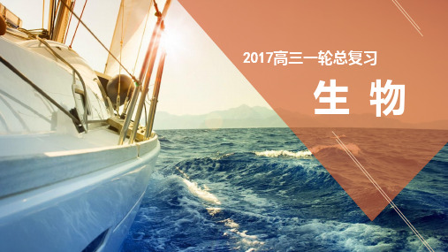 高考生物一轮复习 第三单元 细胞的能量供应和利用专题7 酶和ATP课件(必修1)