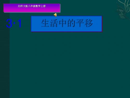 生活中的平移ppt14 北师大版