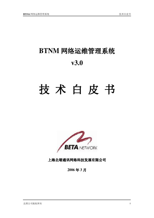 BTNM 3.0技术白皮书