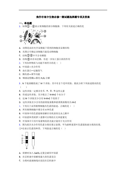 焦作市高中生物必修一测试题选择题专项及答案