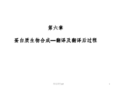 《翻译后过程》PPT课件