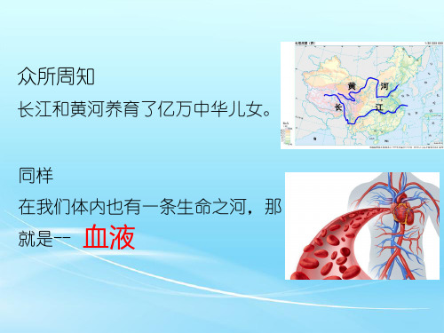 人教版七年级生物 下册 第四单元 4.1 流动的组织——血液 课件(共44张PPT)