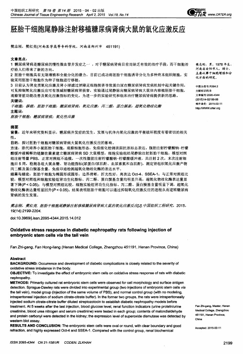 胚胎干细胞尾静脉注射移植糖尿病肾病大鼠的氧化应激反应