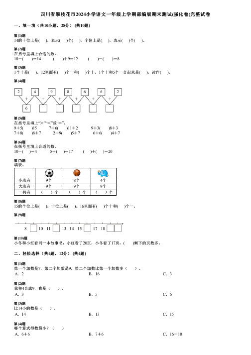 四川省攀枝花市2024小学数学一年级上学期部编版期末测试(强化卷)完整试卷