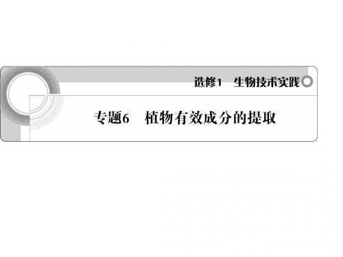 学案与测评课件生物人教版选修1专题6 植物有效成分的提取