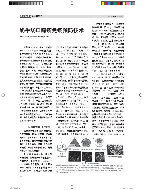 奶牛场口蹄疫免疫预防技术