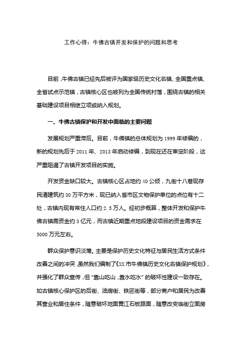 工作心得：牛佛古镇开发和保护的问题和思考