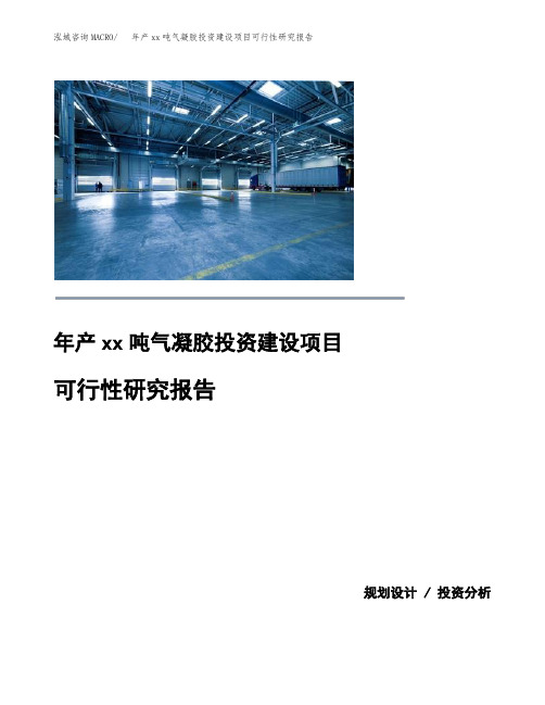 年产xx吨气凝胶投资建设项目可行性研究报告