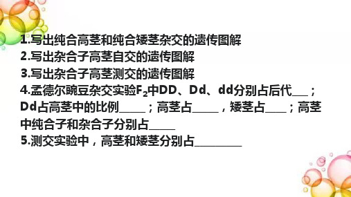 【课件】孟德尔的豌豆杂交实验(二)课件2022-2023学年高一下学期生物人教版必修2