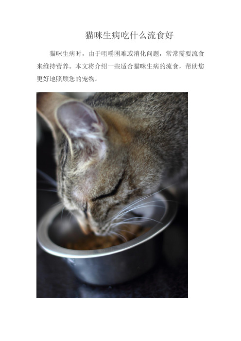 猫咪生病吃什么流食好