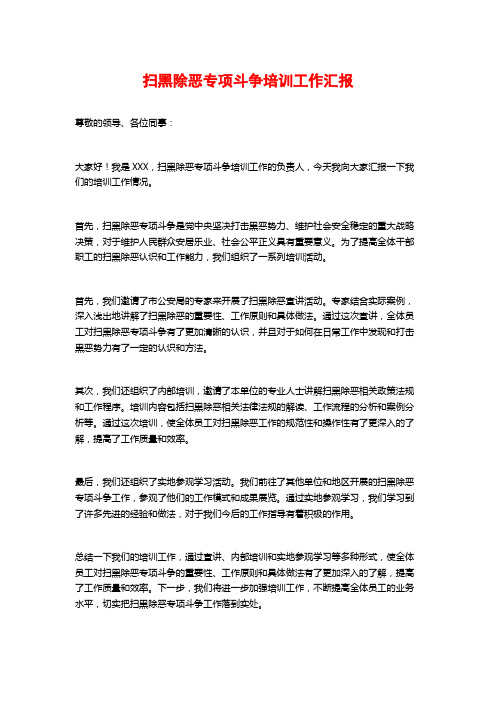 扫黑除恶专项斗争培训工作汇报