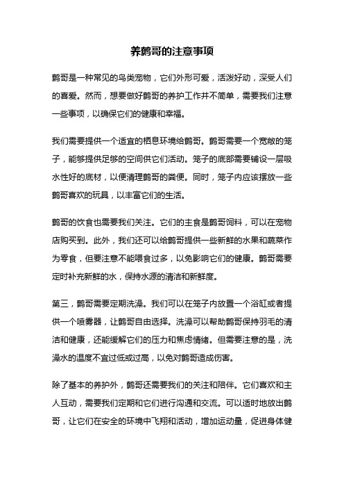 养鹩哥的注意事项