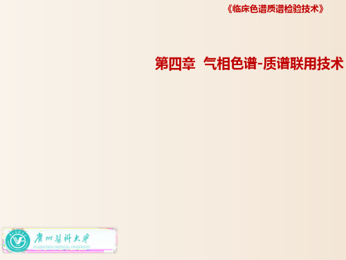 【培训课件-临床色谱质谱检验技术】_第四章气相色谱质谱联用技术(四)