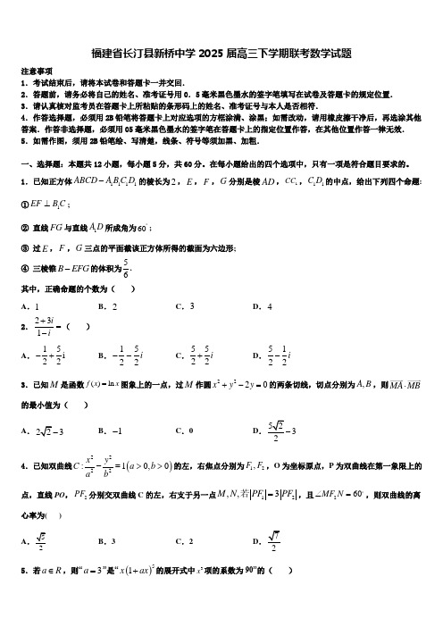 福建省长汀县新桥中学2025届高三下学期联考数学试题含解析