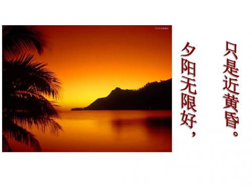 近代前夜的危机