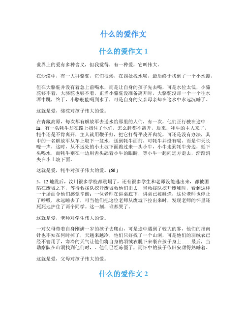 什么的爱作文