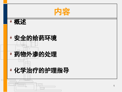 化疗用药安全管理课堂PPT