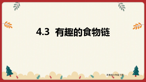 科学苏教版六年级下册  有趣的食物链 课件