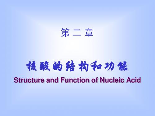 生物化学02核酸结构与功能