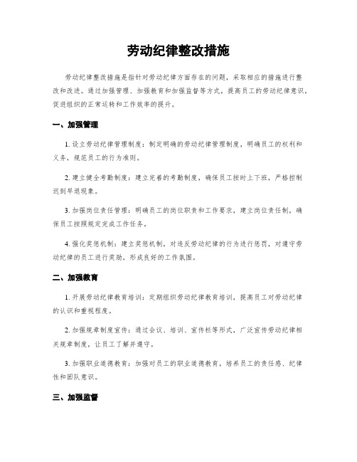 劳动纪律整改措施