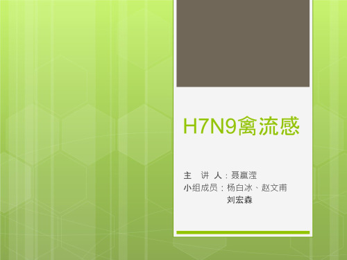 H7N9禽流感PPT课件