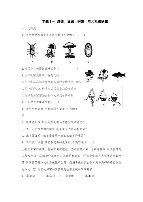 人教版八年级生物中考复习  专题十一 细菌、真菌、病毒  单元检测试试题(有答案)